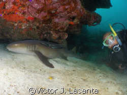 rodney and he new friend in the super bowl dive site in p... by Victor J. Lasanta 